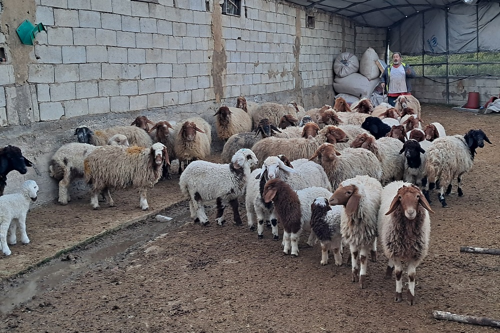 کارآفرینی گروه جهادی شهید استوار در محور مقاومت